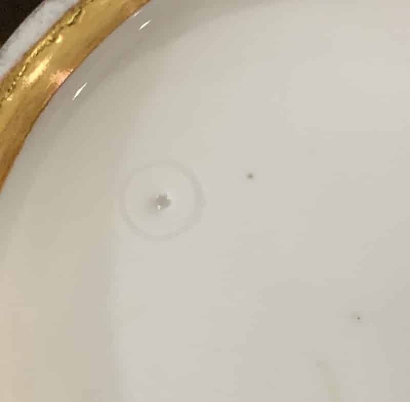 Russian Imperial Porcelain Factory Cabinet Cup and Saucer - Image 8