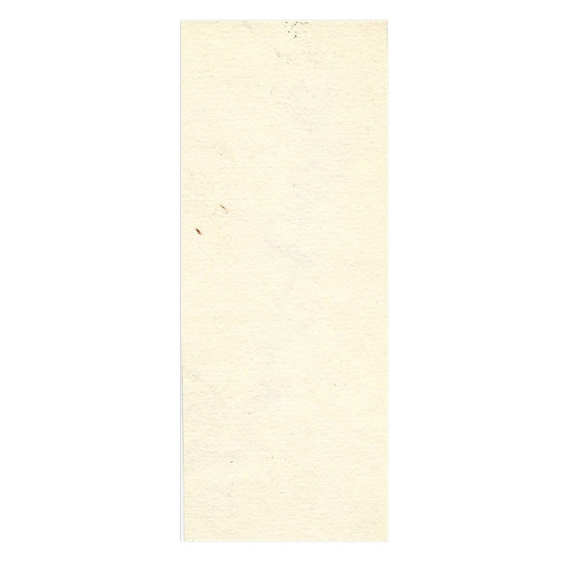 A watercolor study of a branch of pussy willow by Grand Duchess Xenia Alexandrovna - Image 2