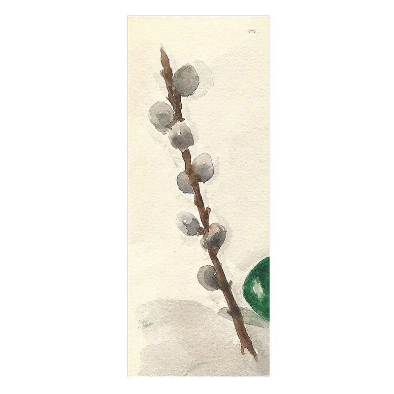 A watercolor study of a branch of pussy willow by Grand Duchess Xenia Alexandrovna