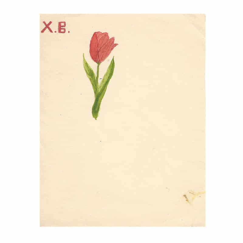 Grand Duchess Xenia Alexandrovna: An Easter greeting with a red tulip in watercolors