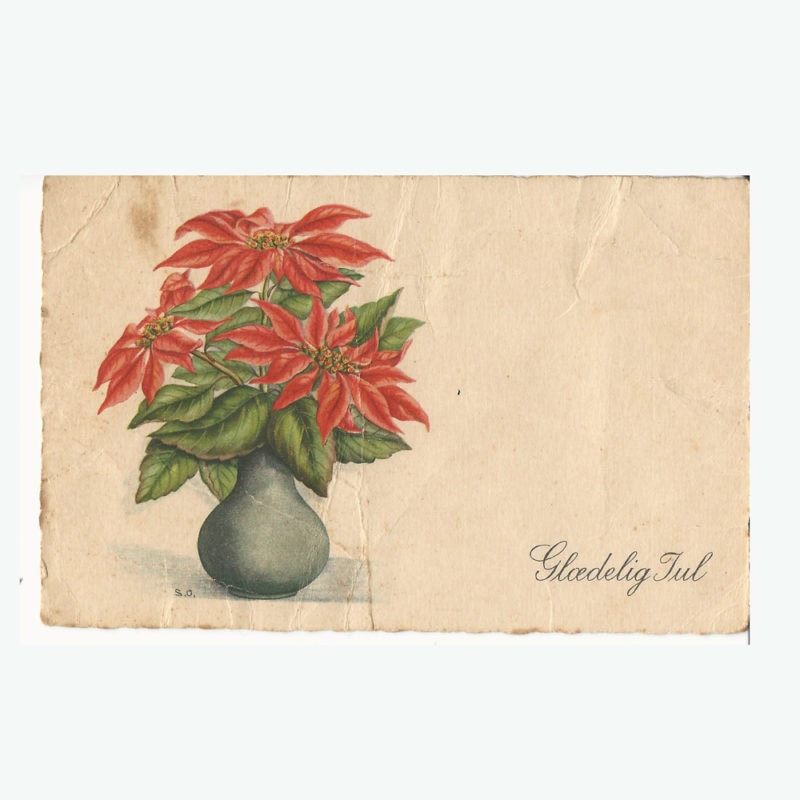 Grand Duchess Olga: A watercolor study of flowers with a handwritten postcard - Image 3